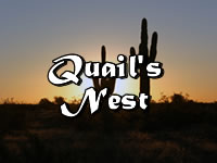 Custom Homes in Quail's Nest