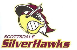 Scottsdale Silverhawks sponsored by DSD